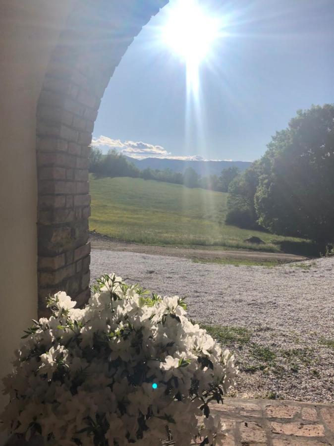 Podere Il Sasso Barberino di Mugello Eksteriør bilde
