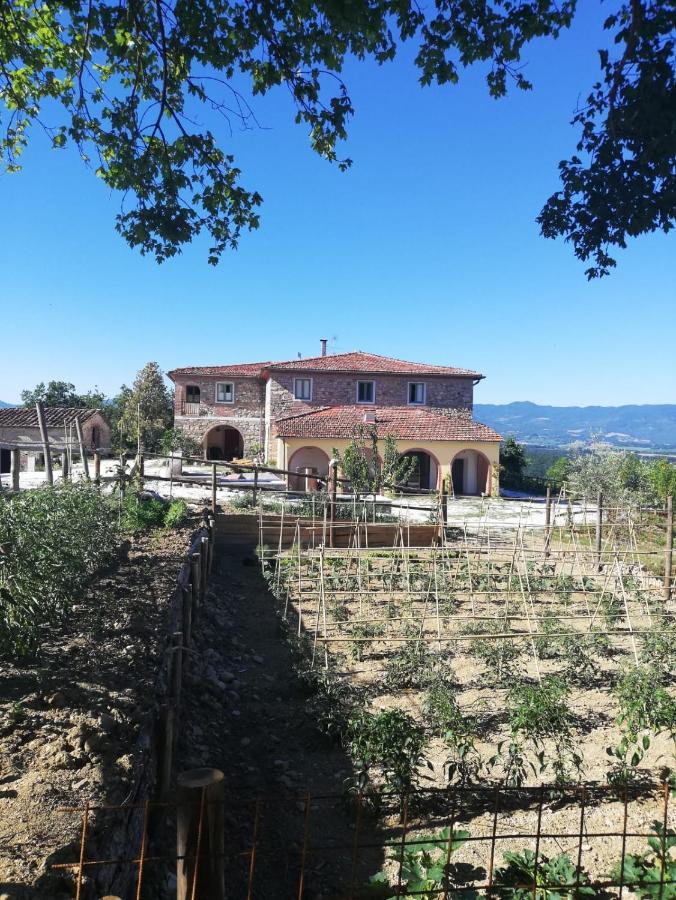 Podere Il Sasso Barberino di Mugello Eksteriør bilde